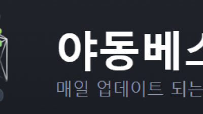 성인사이트 - 야동베스트
